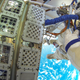 The algae were mounted in trays and then exposed to space outside of the ISS for 18 months. (Image: ESA)